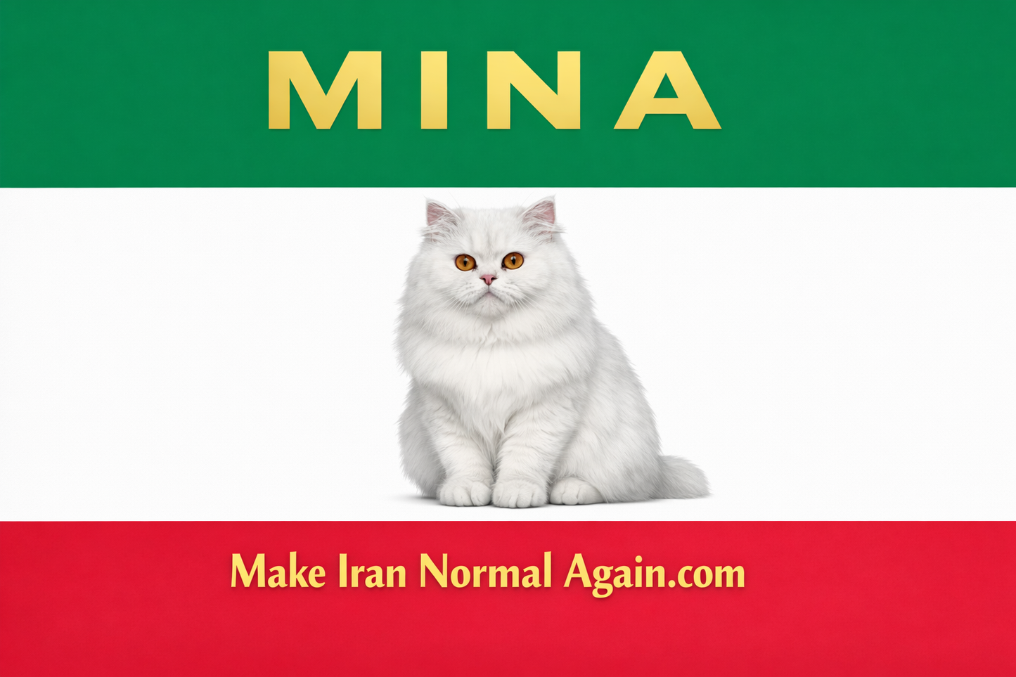 Persian Like The Cat