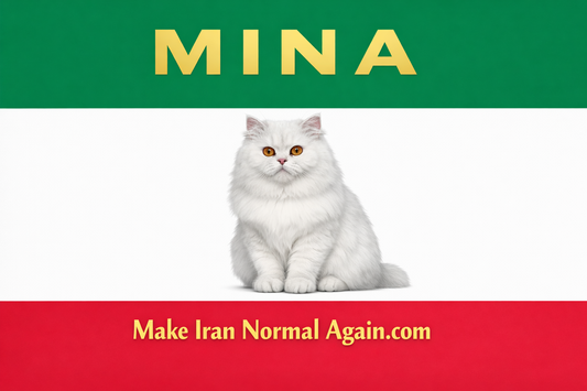 Persian Like The Cat